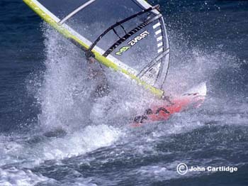 Windsurfer